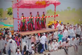 Marathi cheer girls Pangri bullock cart race