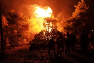 fire in Sariska forest: રાજસ્થાનના સરિસ્કાના જંગલમાં લાગી ભીષણ આગ