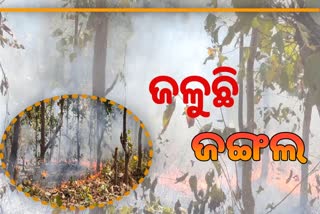 fire breaks out at deogarh forest