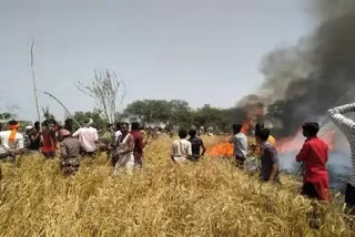 300 quintal wheat destroyed