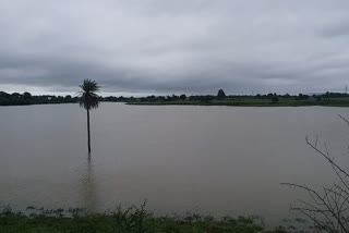 Indore in dark zone of water crisis