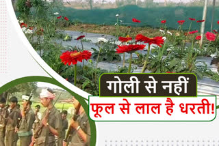 flower-cultivation-in-salga-village-of-hazaribagh