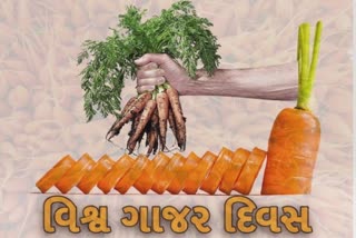International carrot day 2022 : જૂનાગઢના ગાજરને પણ મળી રહી છે વૈશ્વિક સ્વીકૃતિ