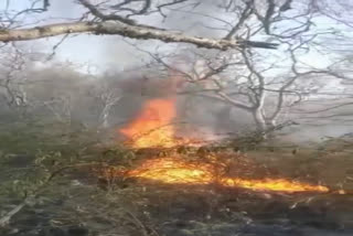 Fire in Sariska forest