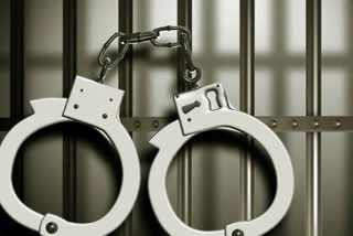 Drug racket busted in Hyderabad: Pub partner, manager arrested