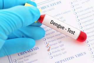 Six fresh cases of dengue have been reported in the last week in Delhi
