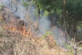 after three days forest fire in Tral brought under control