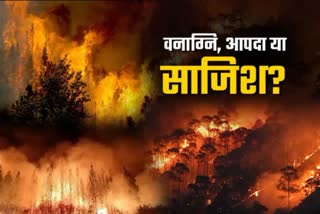 FOREST FIRE INCIDENTS JUST A DISASTER OR CONSPIRACY IN UTTARAKHAND