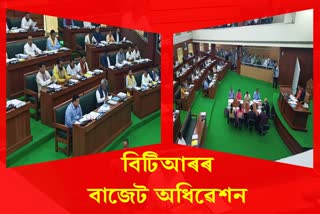 btr-budget-session-with-two-day-programme