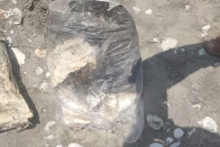 Drugs seized in Kutch: પાકિસ્તાની બોટની શોધ દરમિયાન BSFને બિનવારસી હાલતમાં મળ્યા ચરસના 2 પેકેટ