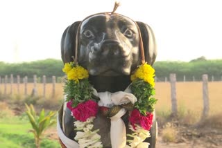 tamil nadu man builds a temple in memory of his late pet  dog