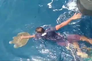 Sea turtle protection