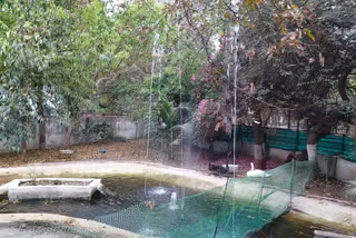 Fountain made in Indore Zoo
