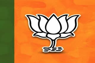 bjp-tong