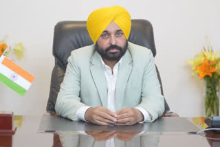 Bhagwant Mann to set up anti-gangster task force to curb crime in Punjab