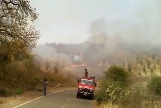 Fierce fire in the forest of Dhaneta