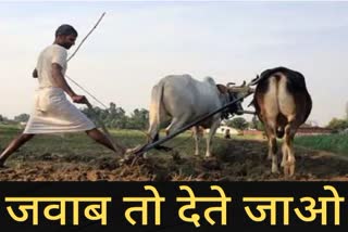 farmers income decreased in madhya pradesh
