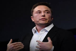 Elon Musk as Twitter Board Of Director