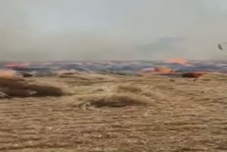 wheat caught fire