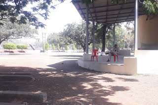 VVIP Mango trees in Bhopal