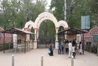 bilaspur kanan pendari zoo