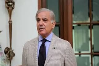 Shehbaz Sharif On President Alvi's Letter: 'عبوری وزیراعظم سے متعلق علوی کا خط موصول نہیں ہوا'