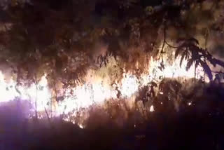 पतरातू के किरिगढ़ा पहाड़ी में लगी भीषण आग