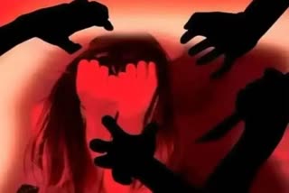 girl-gang-raped-in-car-in-janakpuri-accused-absconding-by-throwing-victim-on-roadside