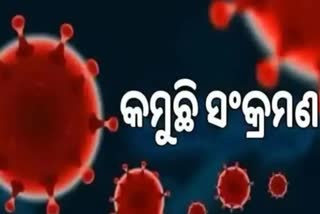 କମୁଛି କୋରୋନା