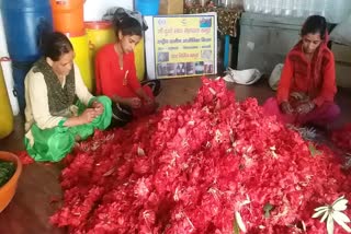 women-preparing-buransh-juice-in-vikasnagar-are-becoming-self-suff