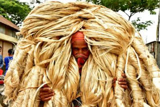 government should promote jute industry