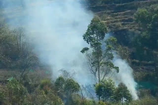 Fear of forest fire in Kumaon