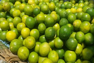 lemon price hike in Chhindwara