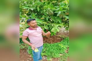 young-man-farming-water-apple-in-kalaburagi