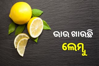 ଚଢା ଦରରେ ବିକୁଛି ଲେମ୍ବୁ, ଗୋଟିଏ ଲେମ୍ବୁର ଦାମ୍‌ ୨୫ରୁ ୩୦ ଟଙ୍କା