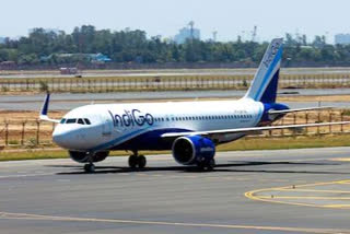 indigo plane