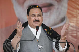 On BJP’s Foundation Day, Nadda apprises foreign envoys of party's ideology