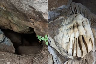 Historical cave found in Gangolihat  Mahakaleshwar Cave in Gangolihat  Amazing Cave in Gangolihat  ഗുഹ കണ്ടെത്തി  പിത്തോരഗഡിൽ ഗുഹ  സിദ്ധ്പീഠ് ഹത്കാലിക ക്ഷേത്രം  ഗംഗോലി വണ്ടേഴ്‌സ് ഗ്രൂപ്പ്