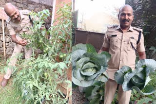 farming in idukki  Kattappana DYSP Nishad Mon  police farming  ഇടുക്കി കർഷകൻ  പൊലീസ് ക്വാർട്ടേഴ്‌സ് കൃഷി  കട്ടപ്പന ഡിവൈ.എസ്.പി വി.എ നിഷാദ് മോൻ