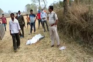 Farm owner killed shepherd in Balaghat