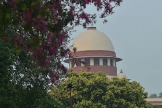 SC On Mullaperiyar Dam