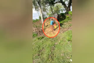 Shocking visual of a father saving his small son from the trunk of an elephant