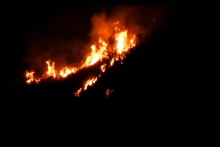 Uttarakhand: Over 40 hectares forest area destroyed in fire in last 24 hours