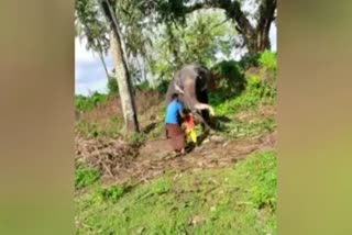 father saving his small son from elephant in Kerala, man fight with elephant for son, Kerala news, ಕೇರಳದಲ್ಲಿ ಆನೆ ದಾಳಿಯಿಂದ ಮಗನನ್ನು ರಕ್ಷಿಸಿದ ತಂದೆ, ಆನೆ ಜೊತೆ ಹೋರಾಡಿ ಮಗನನ್ನು ರಕ್ಷಿಸಿದ ವ್ಯಕ್ತಿ, ಕೇರಳ ಸುದ್ದಿ,