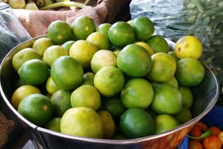 lemon price in haryana