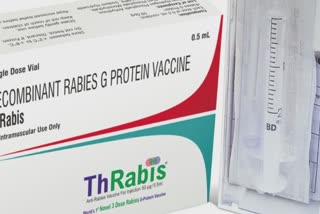 Rabies Vaccine ThRabis : હવે વેકસીનના ફક્ત 3 ડોઝથી મેળવો હડકવા સામે સુરક્ષા, ક્યારથી મળશે જાણો