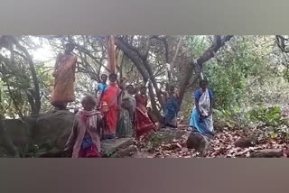 Andhra: Tribal women protest cashew crop destruction, stage ‘mock suicide’ protest