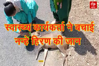 health worker saved deer