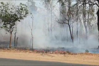 Fire in Shahdol forest