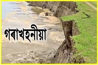 মাজুলী মিচাৰমৰাত ব্ৰহ্মপুত্ৰৰ ব্যাপক গৰাখহনীয়া